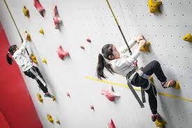 2025 赛季回顾：保罗·斯肯斯单季飙出 240 次三振，以 1.98 ERA 全票包揽赛扬奖与新人王